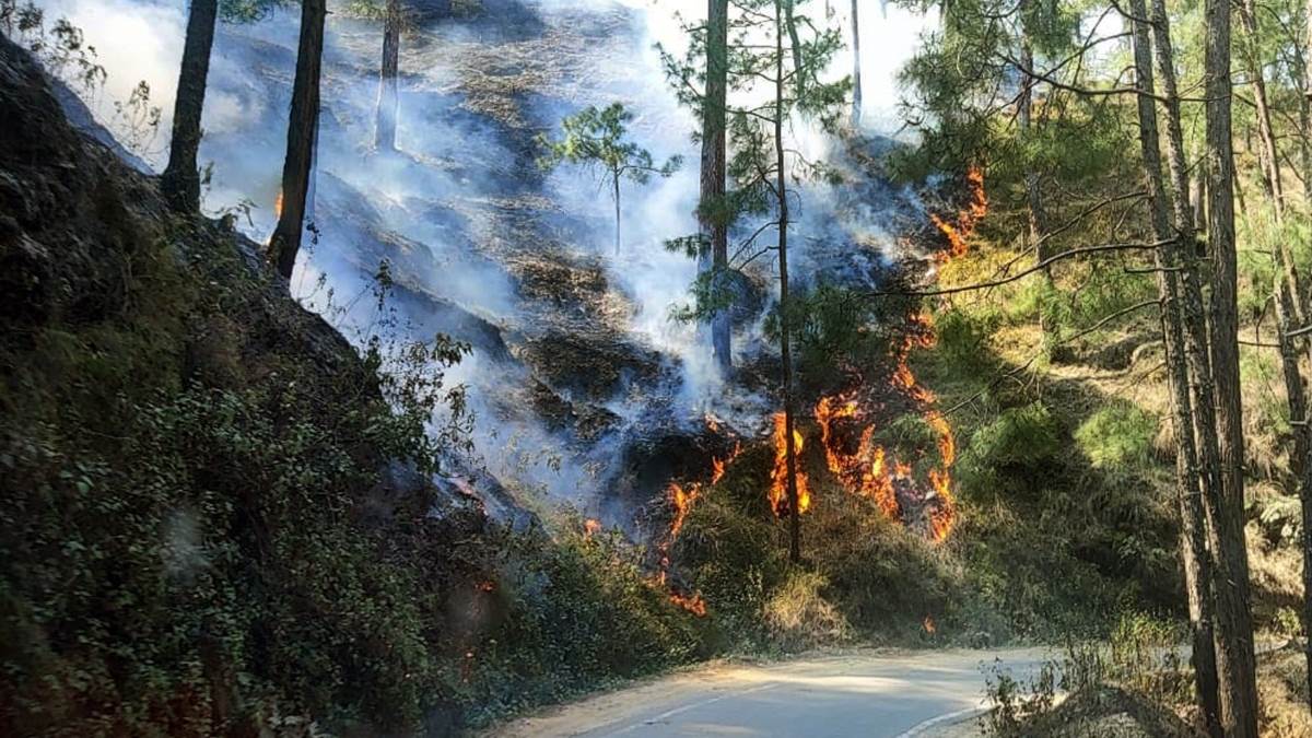 forest fire in bageshwar forest fire reached residential complex there was chaos in area