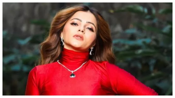 रुबीना दिलैक. फोटो क्रेडिट- रुबीना दिलैक इंस्टाग्राम
