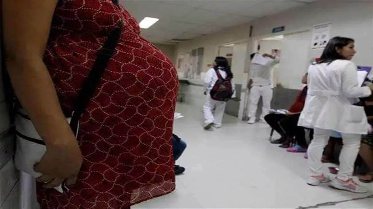 pregnant women in haryana can get an appointment at home after calling 104 help line number