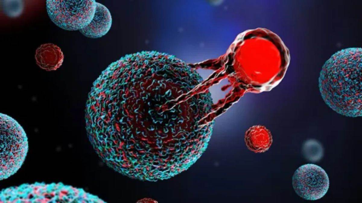 https://www.jagranimages.com/images/newimg/10032025/10_03_2025-blood_cancer_t_cell_23897619.jpg