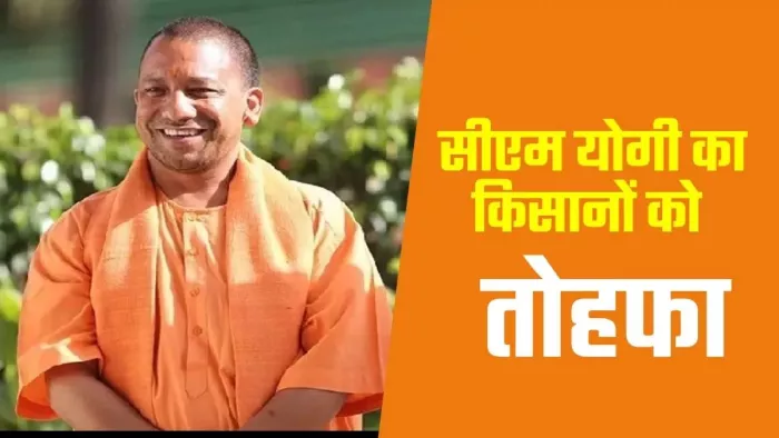 होली के बाद 17 मार्च से 6500 केंद्रों पर होगी गेहूं खरीद। (तस्वीर जागरण)