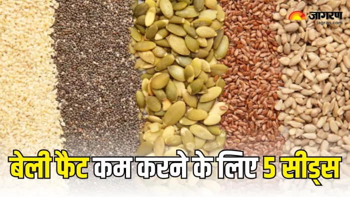 Belly Fat कम करने में मदद करेंगे ये 5 Seeds (Picture Courtesy: Freepik)