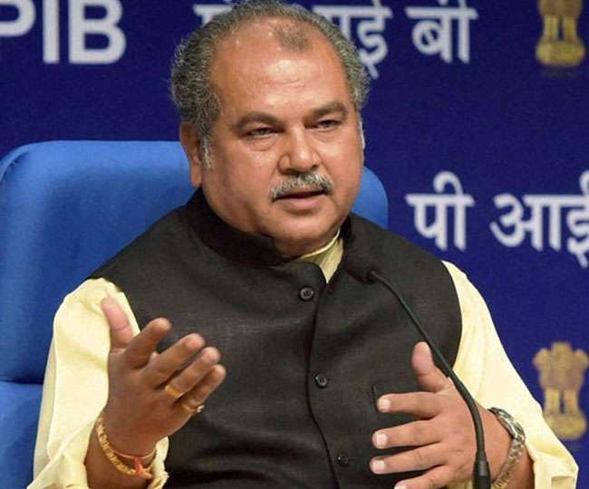केंद्रीय कृषि मंत्री नरेंद्र सिंह तोमर की फाइल फोटो