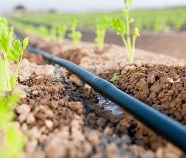 दिनों दिन गिरते भू जल स्तर की समस्या विकराल रूप धारण करती जा रही है।