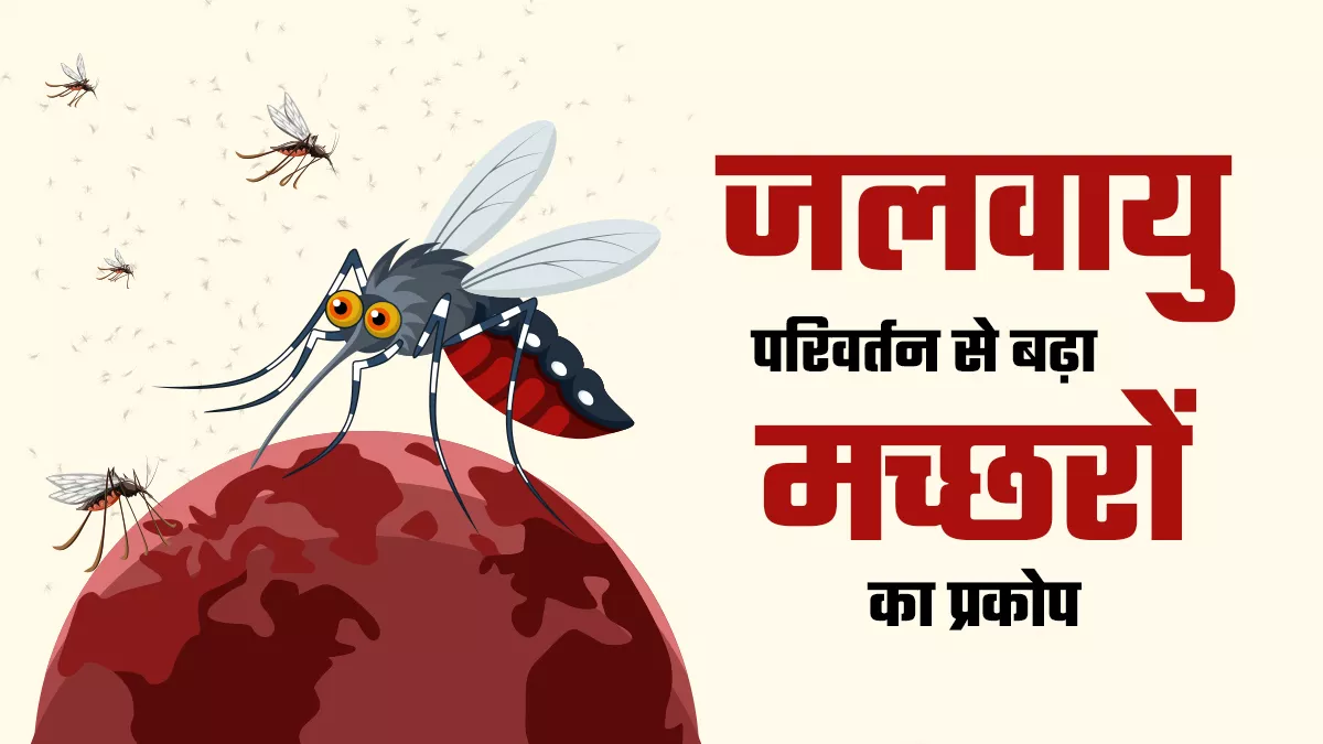 तापमान में बदलाव और मार्च में अधिक बारिश से बढ़े मच्छर, जलवायु परिवर्तन से हुए अधिक घातक