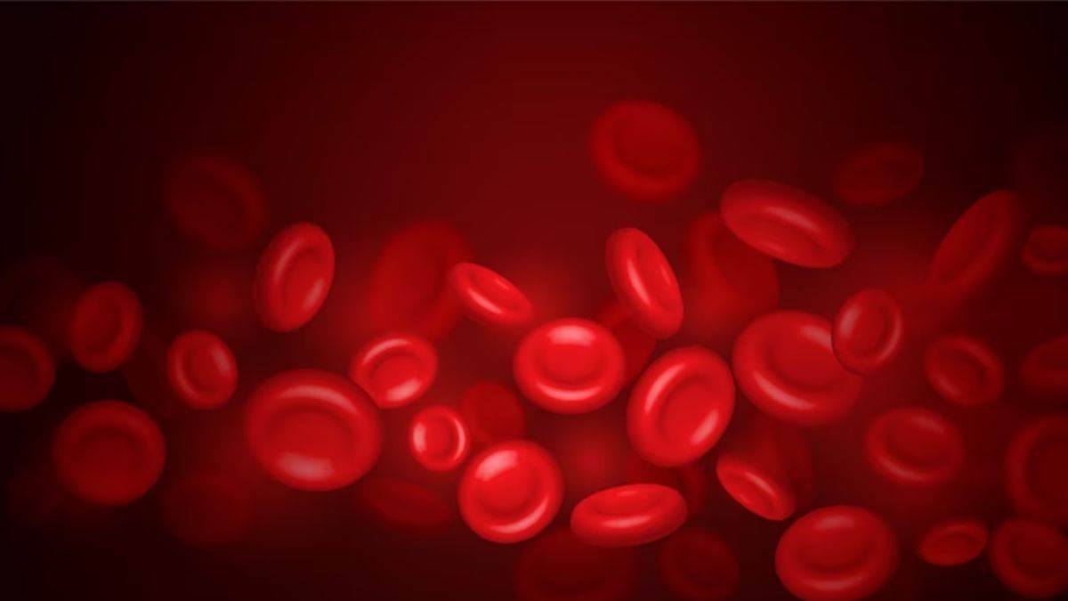 https://www.jagranimages.com/images/newimg/10042023/10_04_2023-hemophilia__23381411.jpg