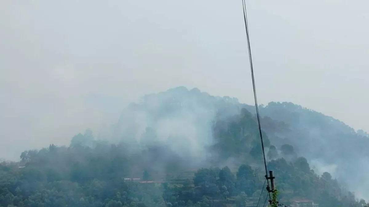 Fire in Nainital: अब नैनीताल के इन जंगलों में लगी भीषण आग, मौके पर पहुंची वन विभाग की टीम; पाया काबू