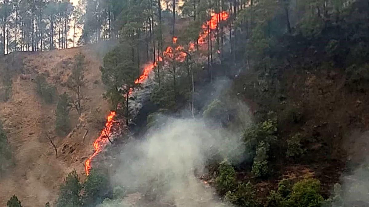Forest Fire in Uttarakhand: कांडा मंतोली से लेकर उपराड़ा तक आग से हाहाकार, एक सप्ताह से धधक रहे जंगल