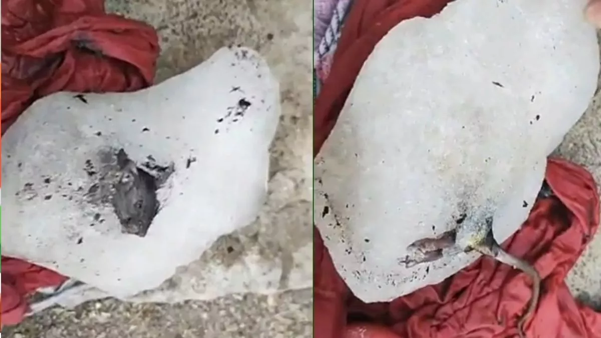 पहले समोसे मे मिला कंडोम अब बर्फ की सिल्ली में मरा हुआ चूहा, पुणे में हो क्या रहा है?