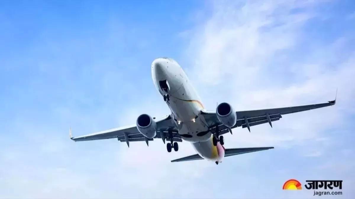 dog pooped on flight to seattle crew members cleaned gallery for 2 hours