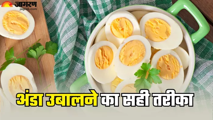 अंडा उबालने का सही तरीका क्या है? (Picture Credit- Freepik)