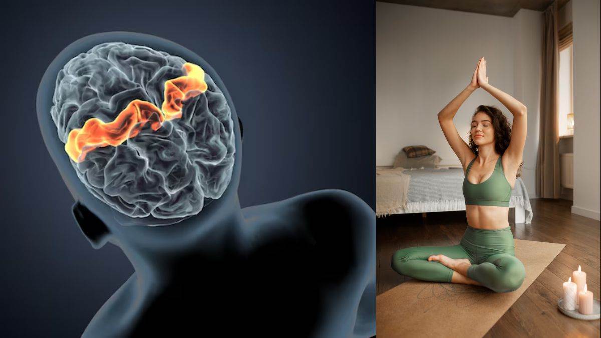 7 healthy habits will reduce the risk of brain stroke memory will also become sharp check details here