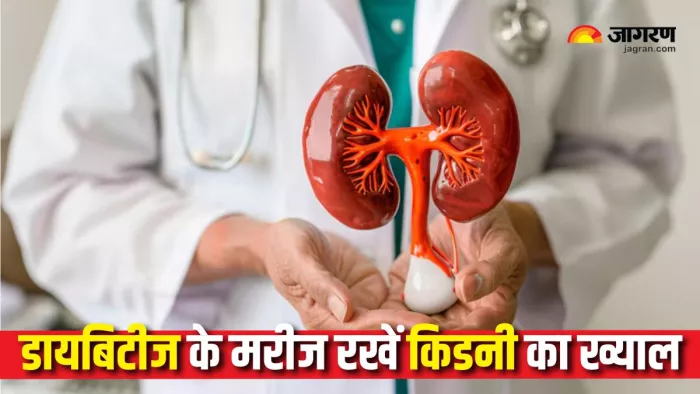 Diabetic Kidney Health Tips: डायबिटीज के मरीजों को किडनी का खास ध्यान रखने की जरूरत होती है (Picture Courtesy: Freepik)