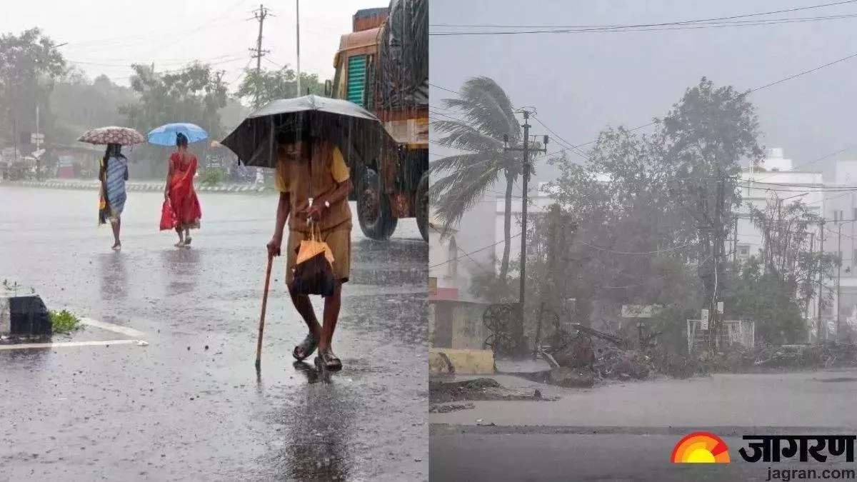 पंजाब में मौसम ने बदली करवट, अगले दो दिनों तक आंधी-तूफान के साथ तेज बारिश; गेहूं और सरसों के फसलों को नुकसान