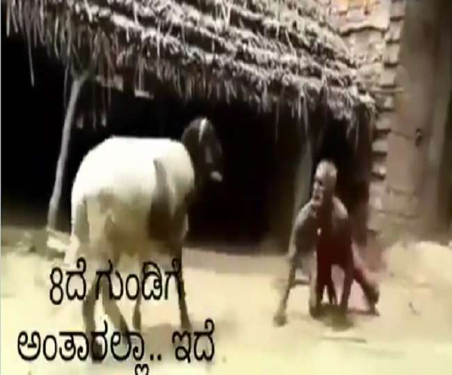 सोशल मीडिया पर लोग वृद्ध व्यक्ति के जोर अजमाइस की तुलना कोरोना वैक्सीन से करने लगे हैं।