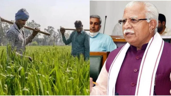 फसल हो गई खराब तो न हों परेशान, हरियाणा में इन 21 फसलों के खराब होने पर मिलेगा मुआवजा