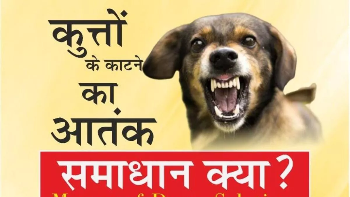 Delhi Dog Attack कुत्तों के आतंक ने दिल्ली वालों को डराया, तलाशा जायेगा समाधान Seminar