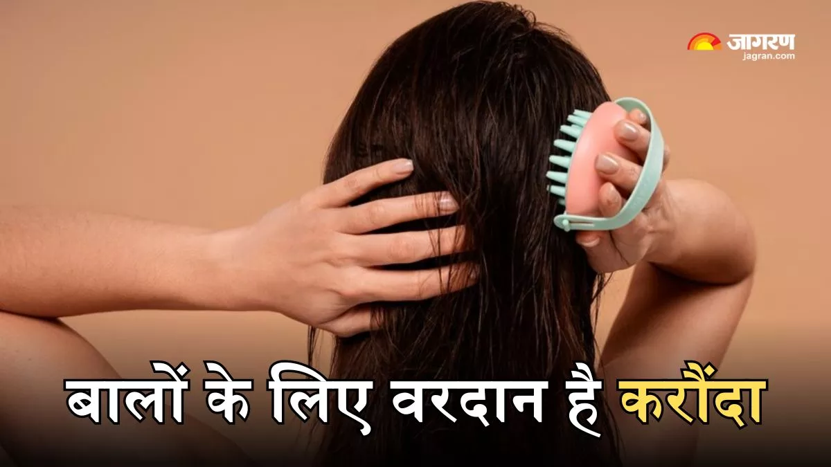 Hair Care Tips: बालों को लंबे और घने बनाने में असरदार है करौंदा, जानें कैसे करें इसका इस्तेमाल