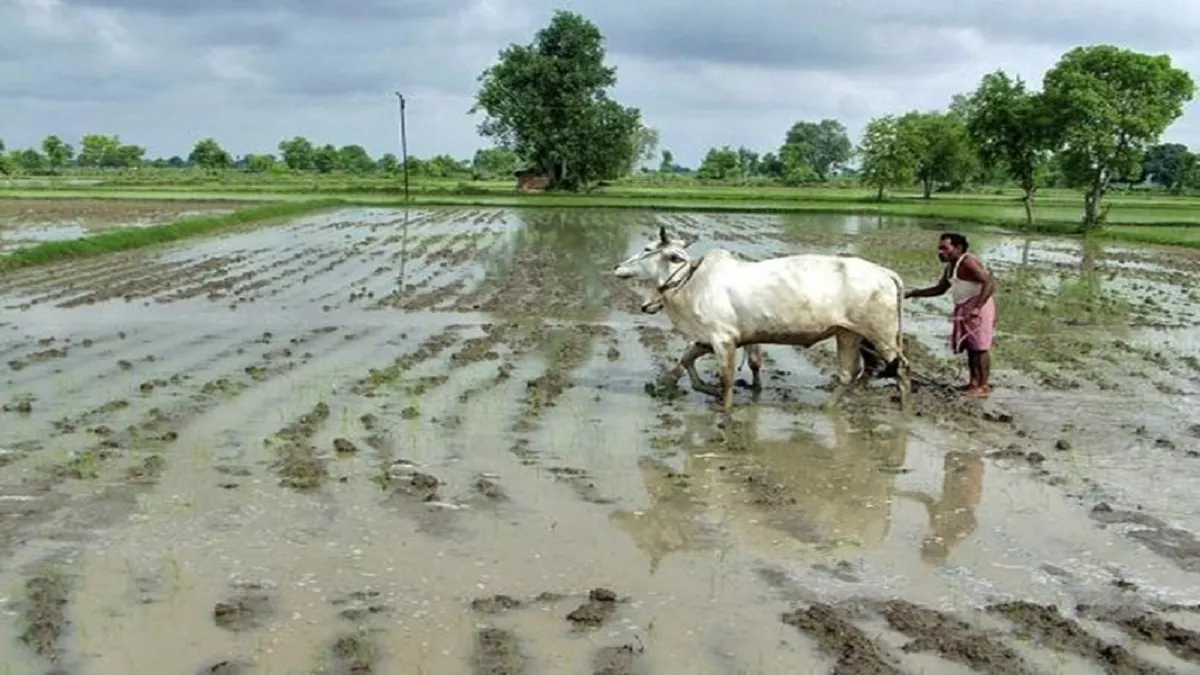 Monsoon 2024 : मानसून को लेकर आया बड़ा अपडेट, जानकर किसानों के खिल जाएंगे चेहरे; पढ़ें कब से बरसेंगे काले मेघा