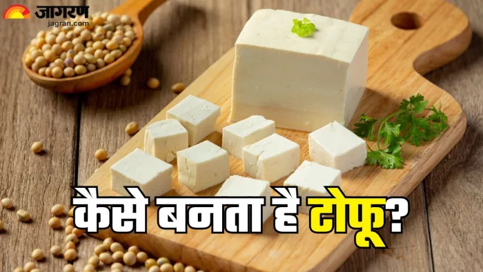 क्या है टोफू औक कैसे है ये सेहत के लिए फायदेमंद (Picture Credit- Freepik)