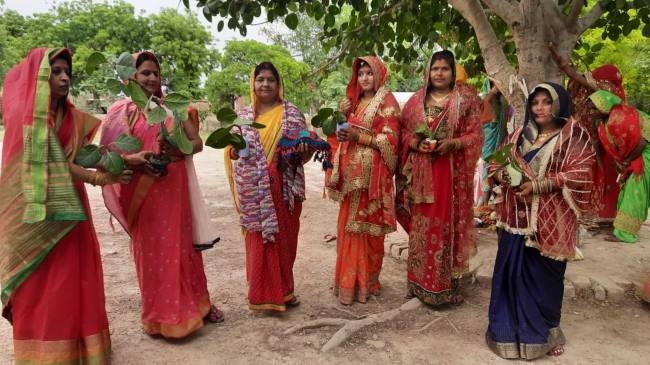 बरगद का पौधा रोपित कर महिलाओं ने लिया संरक्षण का संकल्प