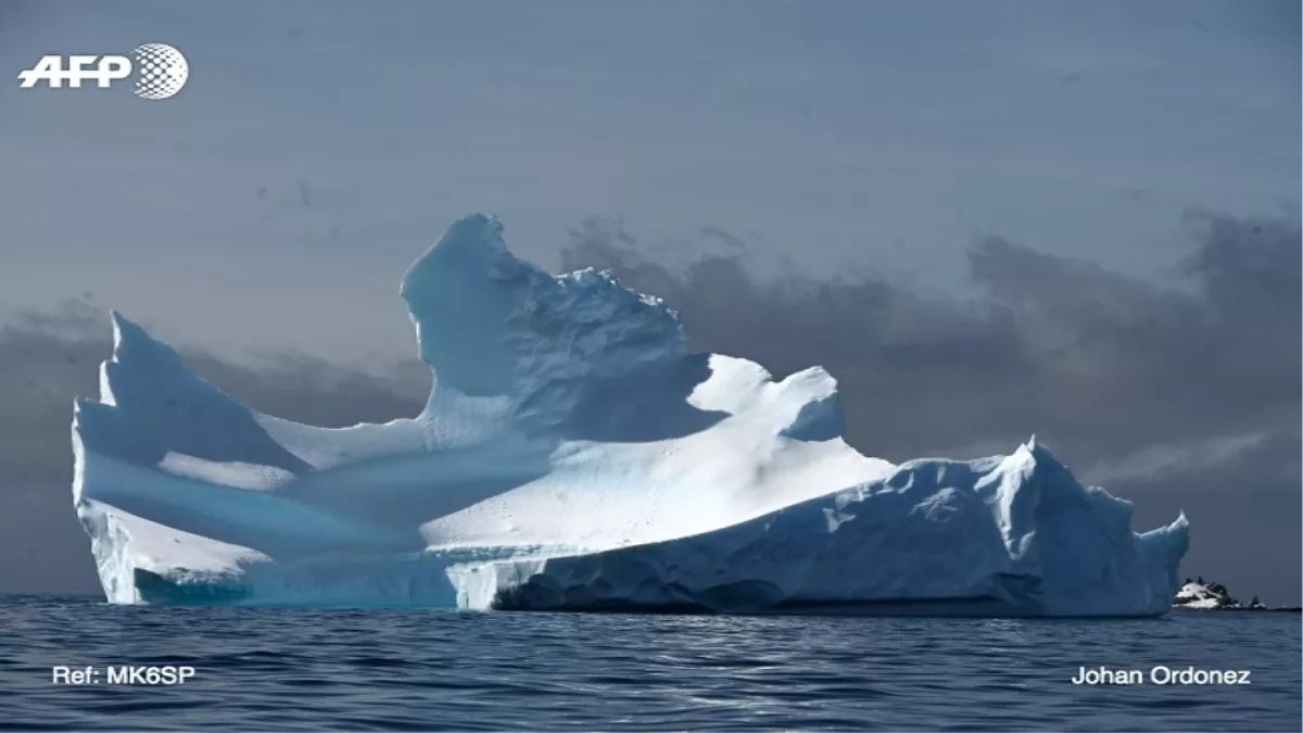 पहली बार अंटार्कटिक की ताजी बर्फ में मिला माइक्रोप्लास्टिक, विज्ञानियों ने जताई बर्फ के पिघलने की रफ्तार बढ़ने की आशंका