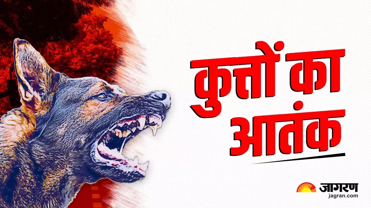 Patna News: जलती धूप और तपती धरती से खतरनाक हुए कुत्ते, एक महीने में 3500 लोगों को बनाया शिकार