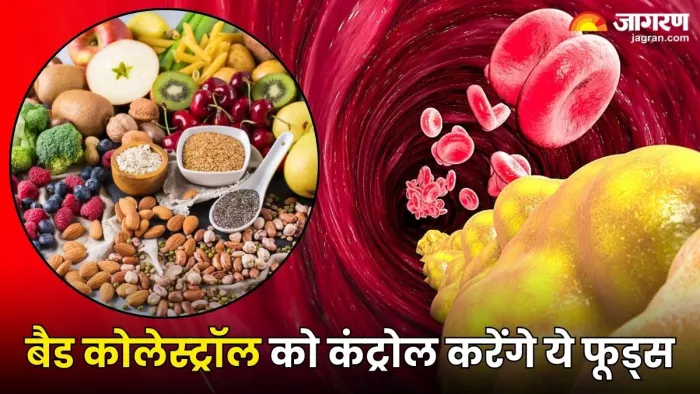 बैड कोलेस्ट्रॉल को कंट्रोल करने में मदद करेंगे ये 5 फूड्स (Image Source: Freepik)