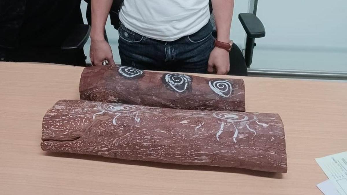 ncr vietnamese national caught smuggling red sandalwood at delhi airport