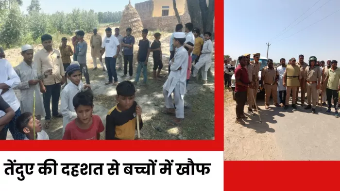 तेंदुए की तलाश में वन विभाग की टीम ने चलाया अभियान।