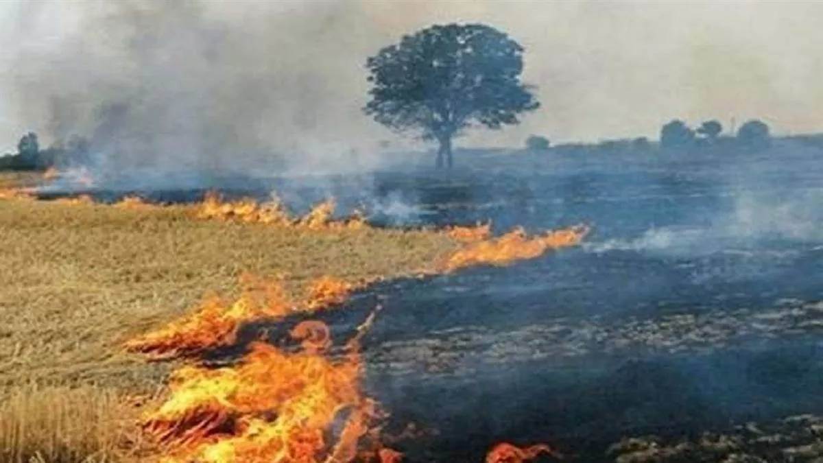 haryana and punjab are showing the way in managing crop residues