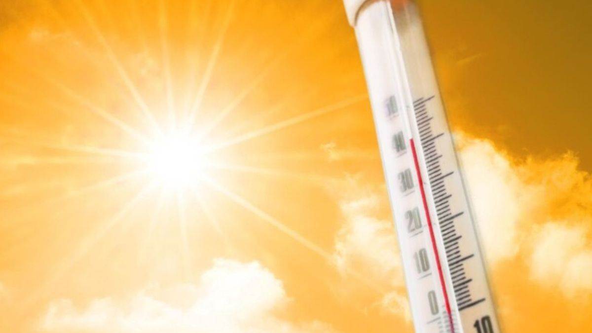 ncr heat action plan fails new delhi city residents suffer in scorching heat