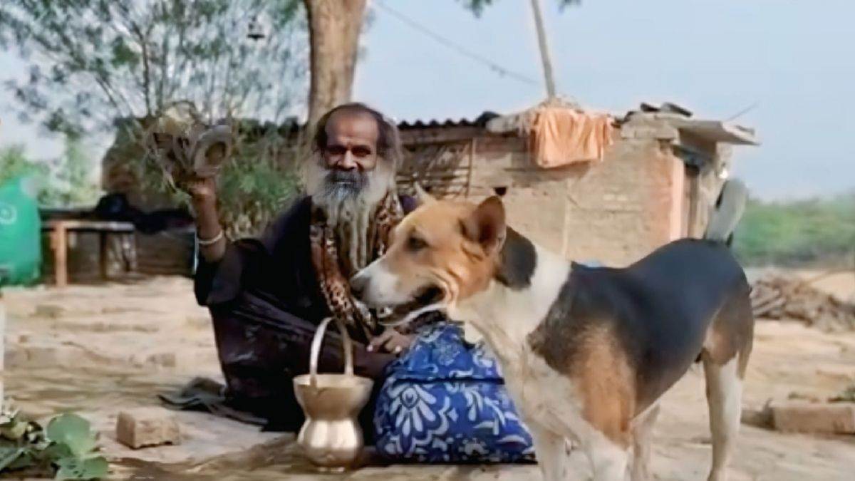 https://www.jagranimages.com/images/newimg/10062025/10_06_2025-dog_wedding_23960689.jpg