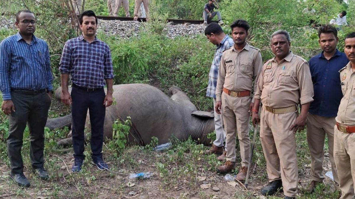 hathini dies after train collision in bijnor case filed against loco pilot