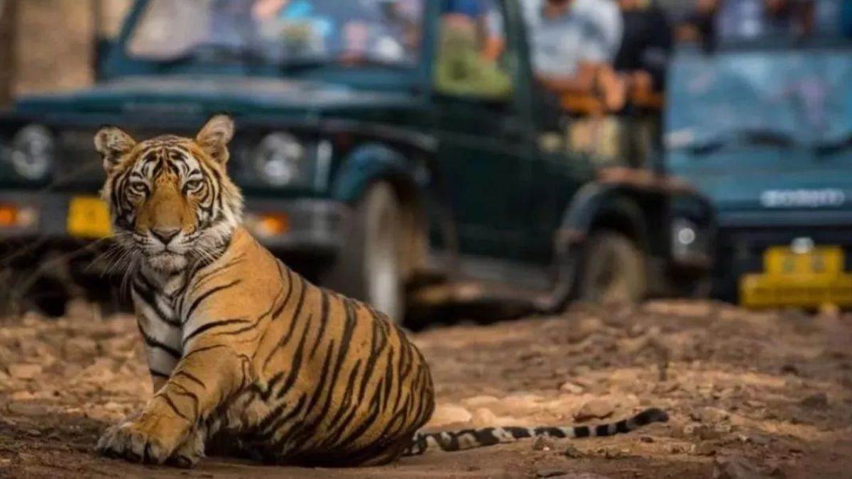 lucknow news up national parks and tiger reserves closed for monsoon