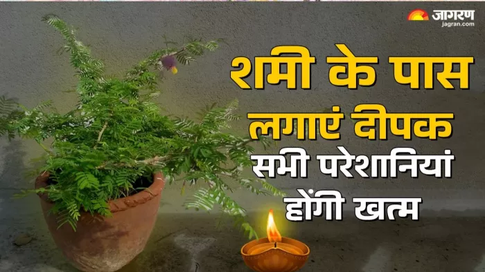 शनिवार और मंगलवार के दिन यह उपाय करने से मिलता है लाभ।