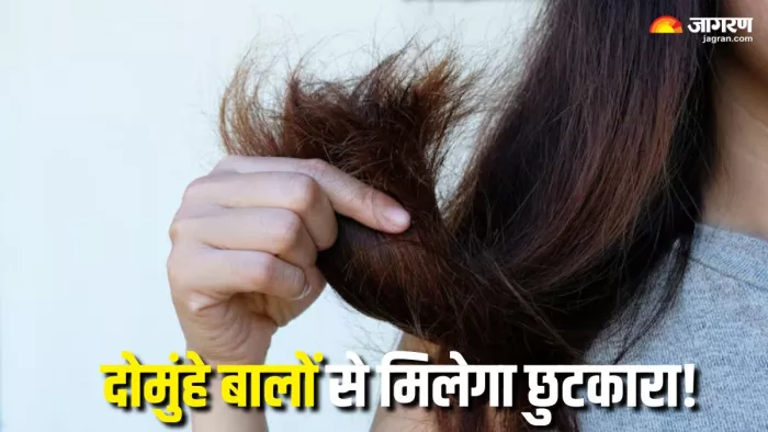 Split Ends Remedy: दोमुंहें बालों से छुटकारा पाने के लिए 3 आसान टिप्स (Picture Courtesy: Freepik)