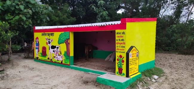 construction of cattle shed will be done for migrant workers