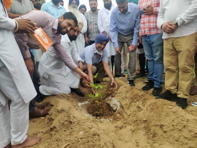 minni jungle will be built in village sadowal of dhanola district barnala