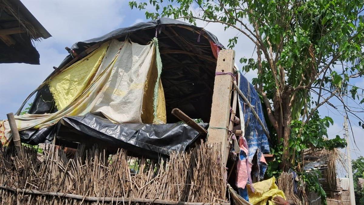 due to flood people are making house on the tree tin boat are also being repaired