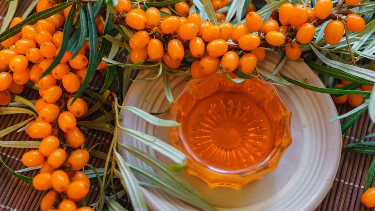 https://www.jagranimages.com/images/newimg/10072023/10_07_2023-sea_buckthorn_23467006.jpg