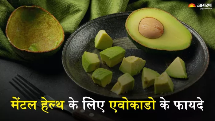 मेंटल हेल्थ सुधारे एवोकाडो (Picture Credit- Freepik)