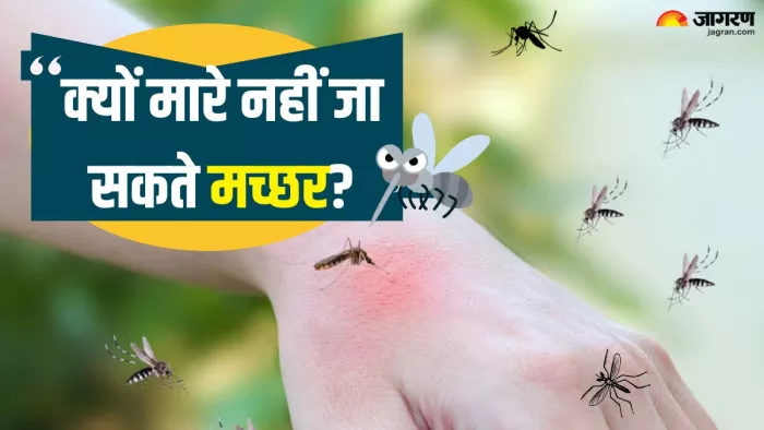 क्यों नहीं मारे जा सकते पूरी दुनिया के मच्छर (Picture Credit- Freepik)