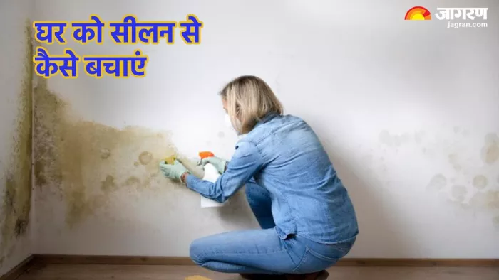 घर को सीलन से बचाने के तरीके (Pic credit- freepik)