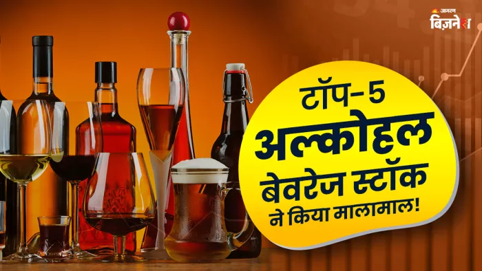 ये कंपनियां बीयर, रम, व्हिस्की और प्रीमियम ब्रांडी जैसे प्रोडक्ट्स बनाती हैं।