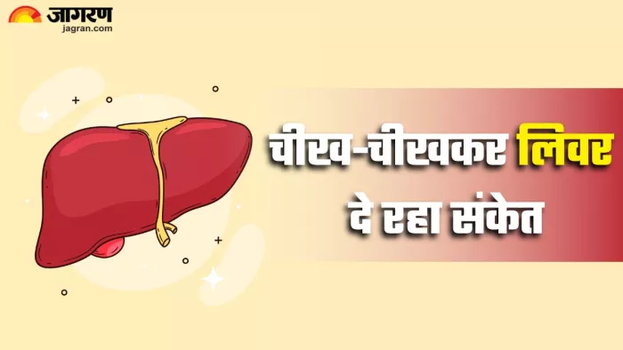 लिवर को डिटॉक्स करने के लिए अपनाएं ये आयुर्वेदिक उपाय (Picture Credit- Freepik)