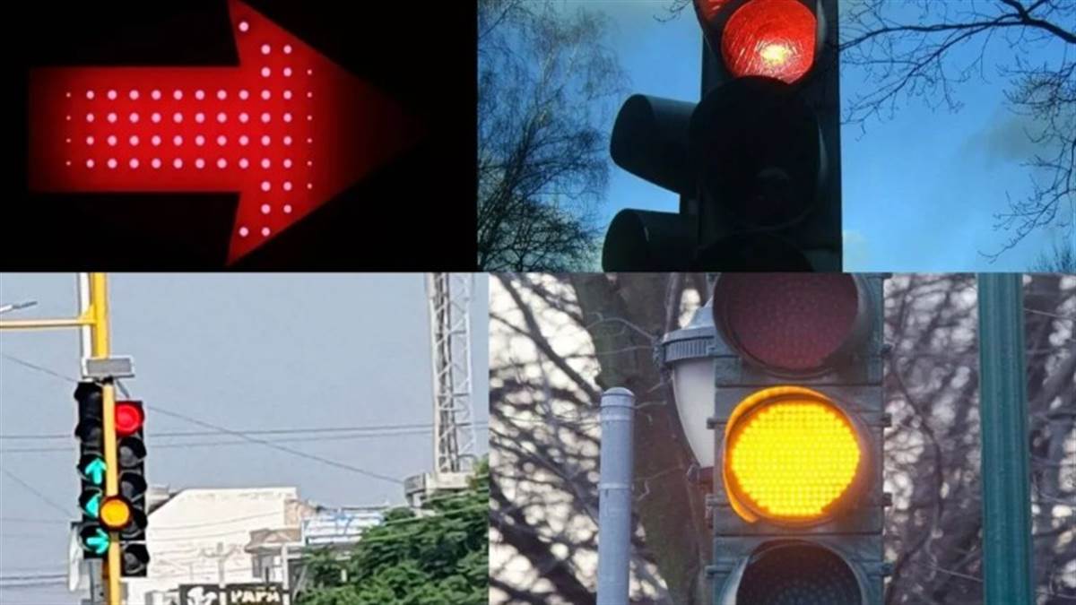 children of government schools in bihar will be made aware about road safety basic tips will be given