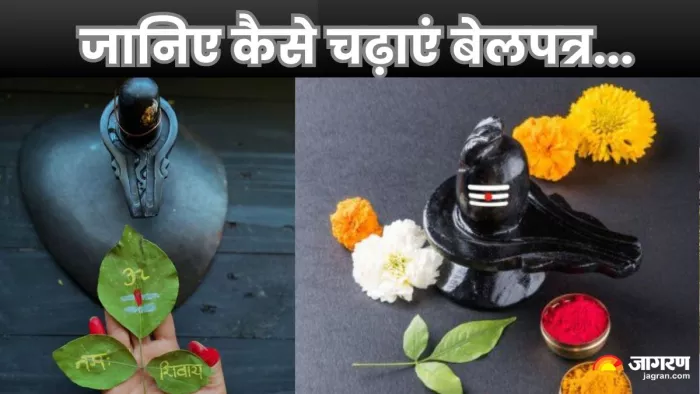 Sawan 2025: सावन का पवित्र महीना 11 जुलाई से शुरू हो रहा है। जानिए बेलपत्र चढ़ाने के जरूरी नियम।