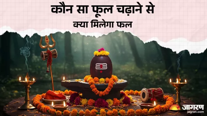 Sawan 2025: अगस्त्य के फूल से शिवलिंग की पूजा करने से मान-सम्मान मिलता है।