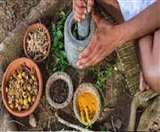तमिलनाडु में सिद्ध चिकित्सा पद्धति से करीब छह हजार कोरोना मरीज हुए ठीक, जानें कैसे किया जाता है इलाज